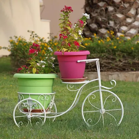 아파트 Aristotelis *