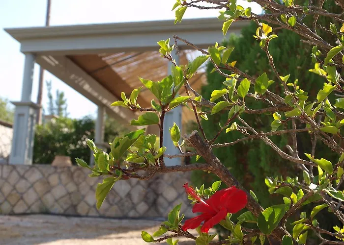 Aristotelis Apartmán