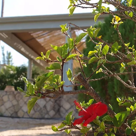Aristotelis Apartment