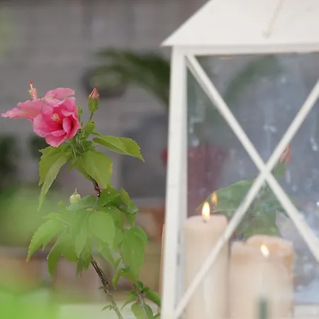 Appartement Aristotelis *